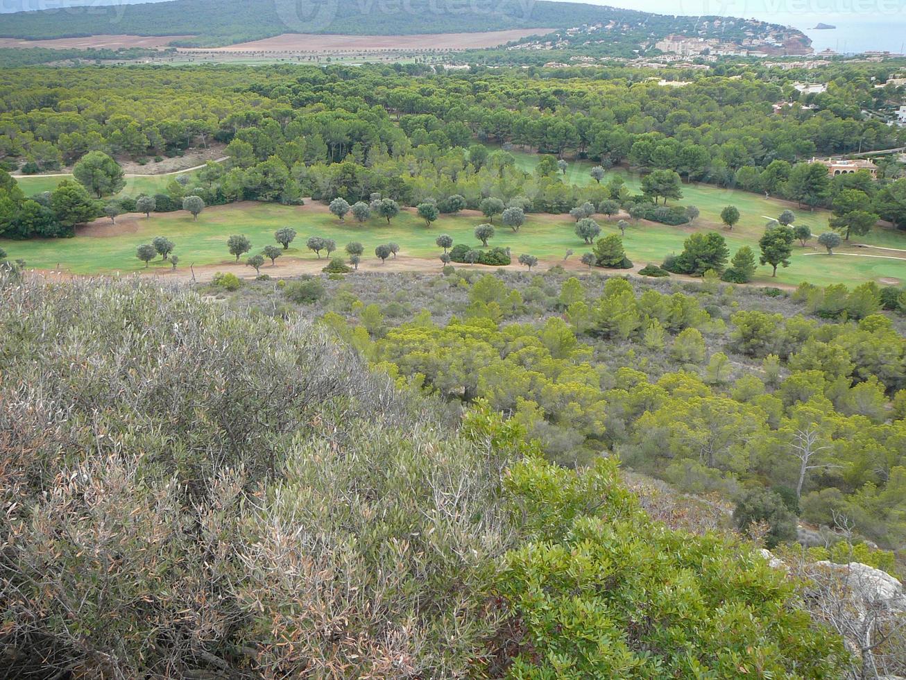 puig de sa morisca archäologischer park maurischer gipfel auf mallorca foto