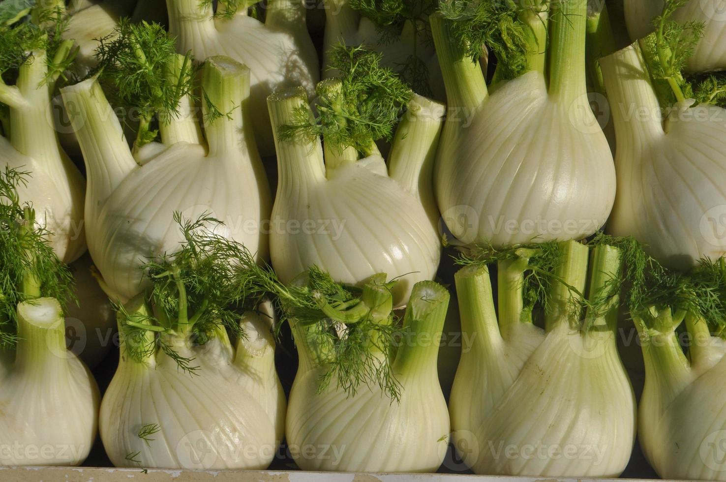 Fenchel Gemüse Essen foto