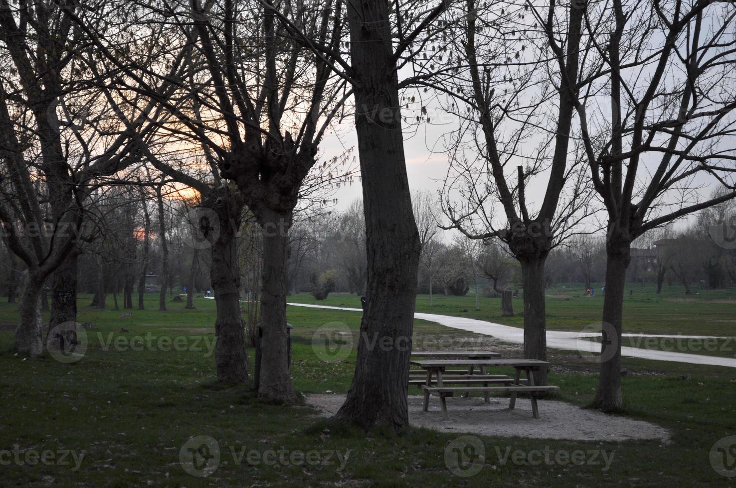 öffentlicher park in riccione foto