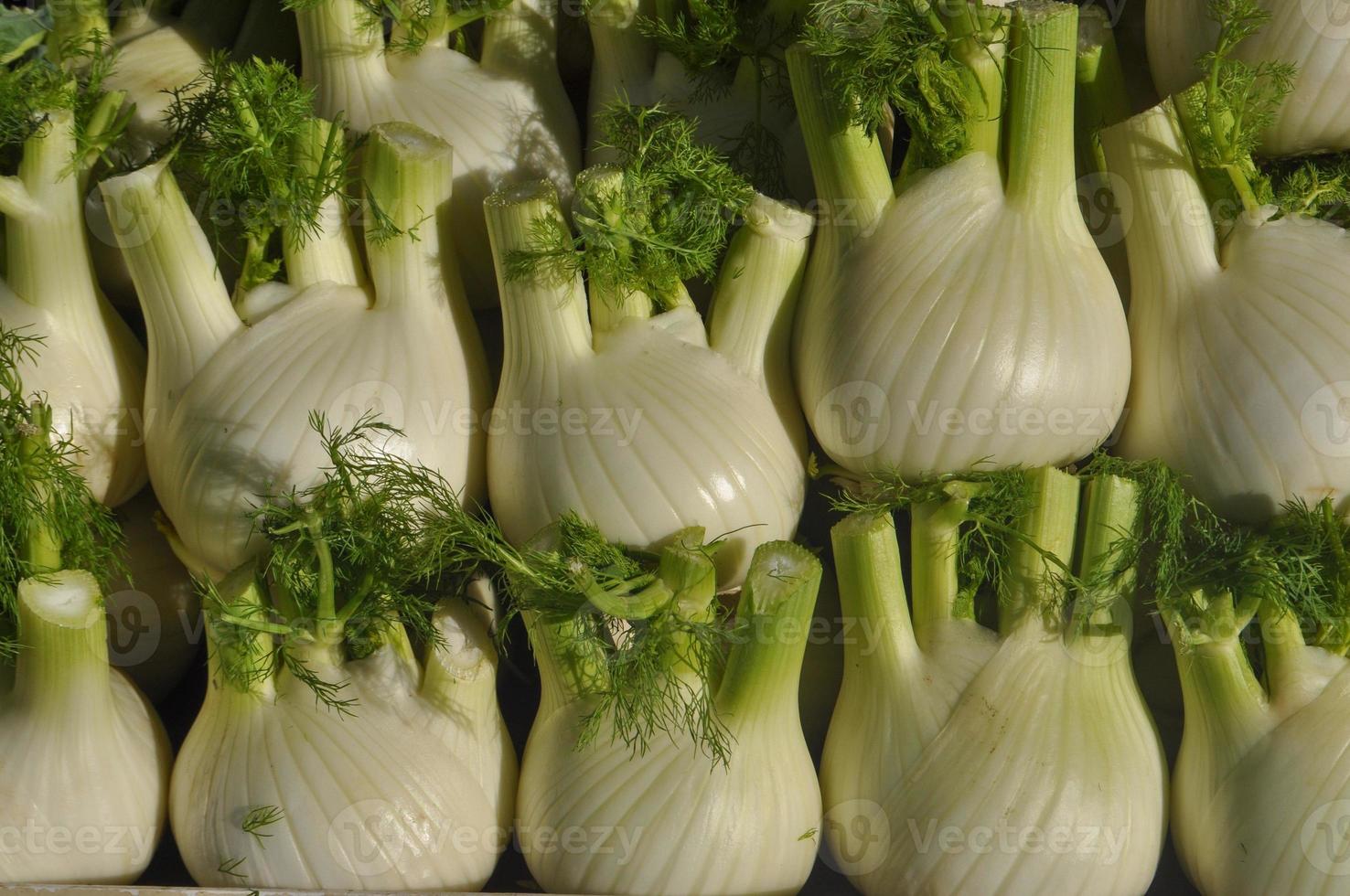 Fenchel Gemüse Essen foto