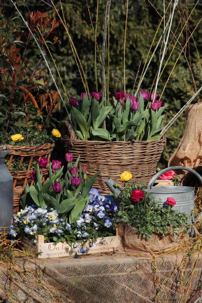 Blumen in Kistenkörben und Gießkanne auf dem Tisch foto