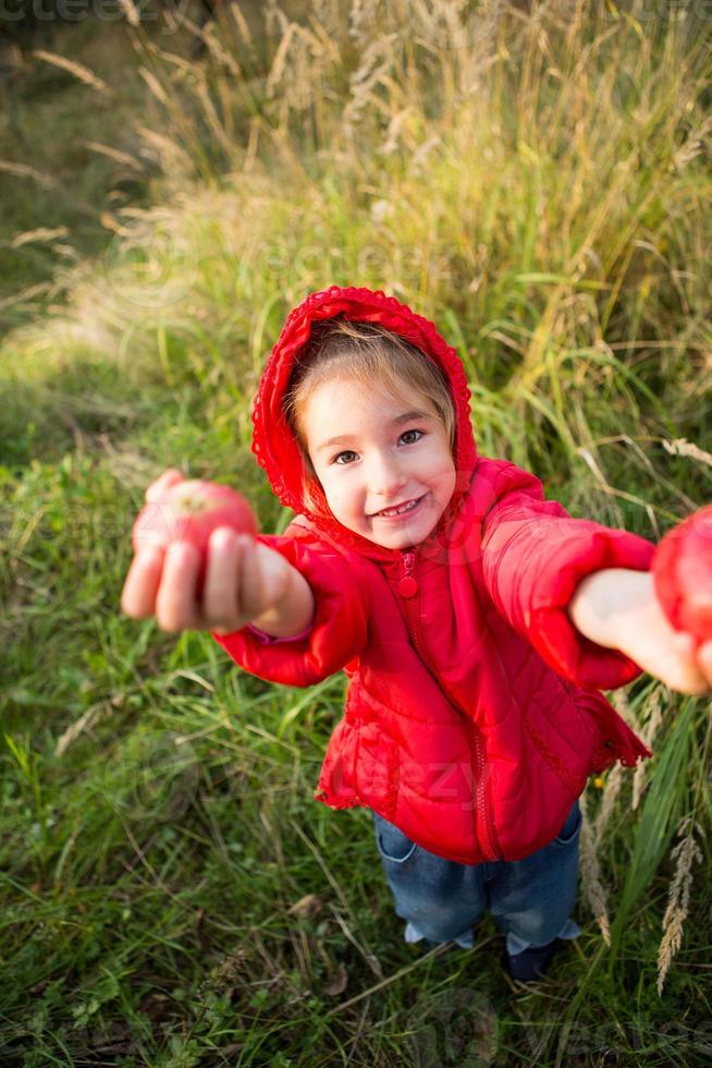 Ein kleines Mädchen in einer roten Jacke mit Kapuze hält Äpfel in ihren Händen. Herbsterntefest, Thanksgiving, Obstgarten, Vitamine. Platz für Text foto