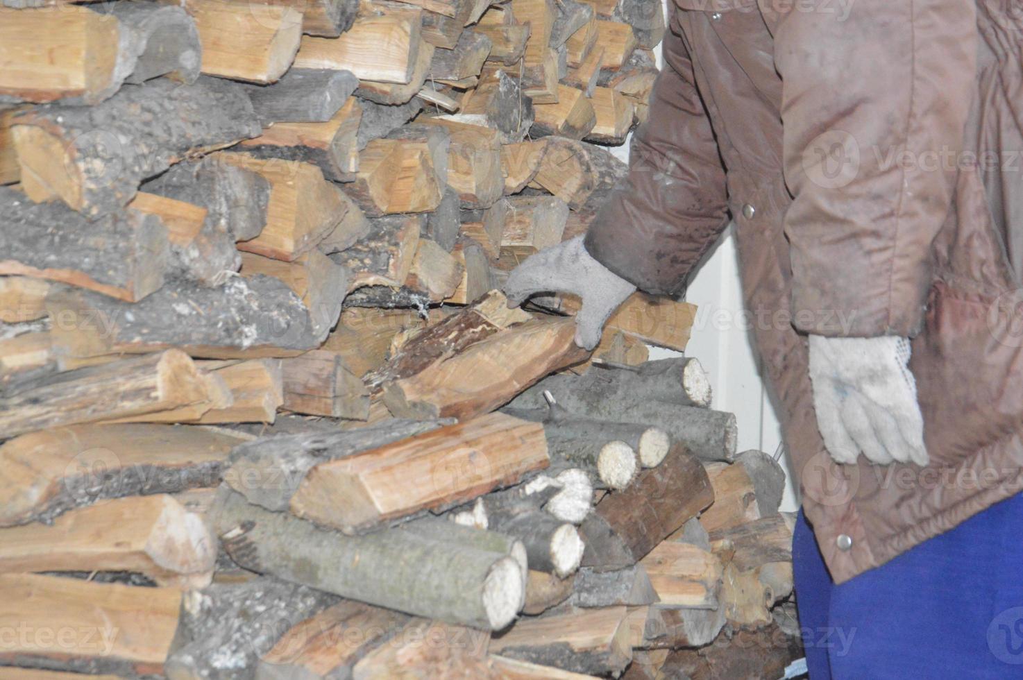 Sammeln von Brennholz nach dem Schneiden zum Trocknen und Heizen des Hauses foto