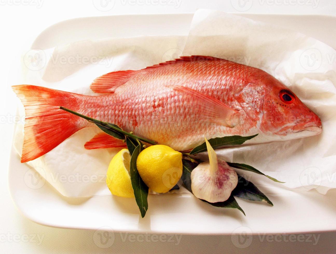 Schnapper roter Fisch lokalisiert auf weißem Hintergrund foto