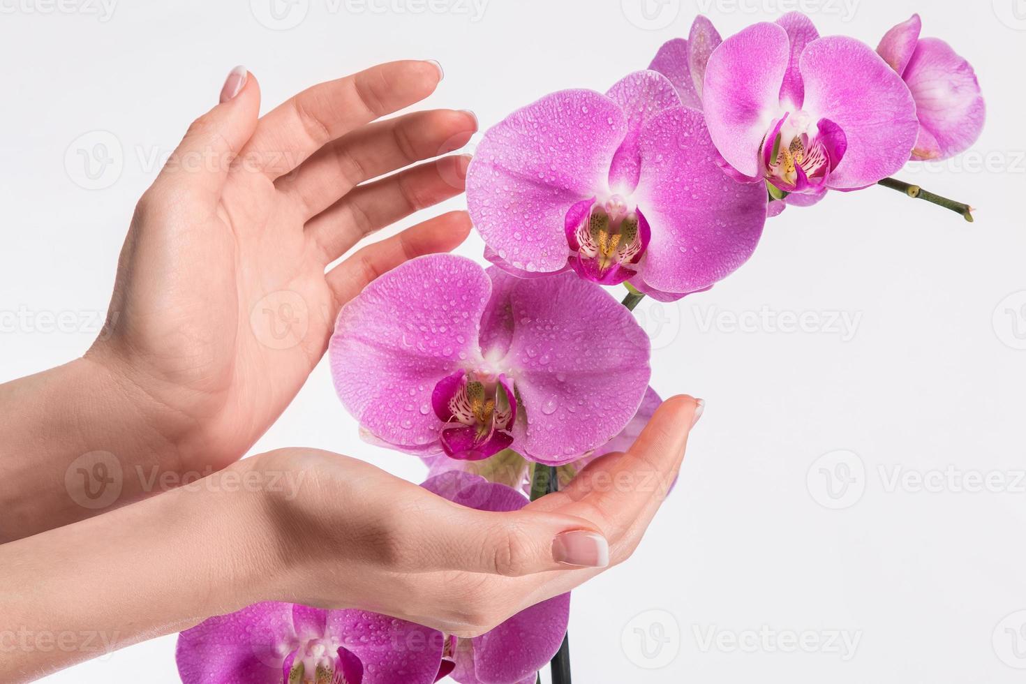 französische Maniküre und Orchideenblüte foto
