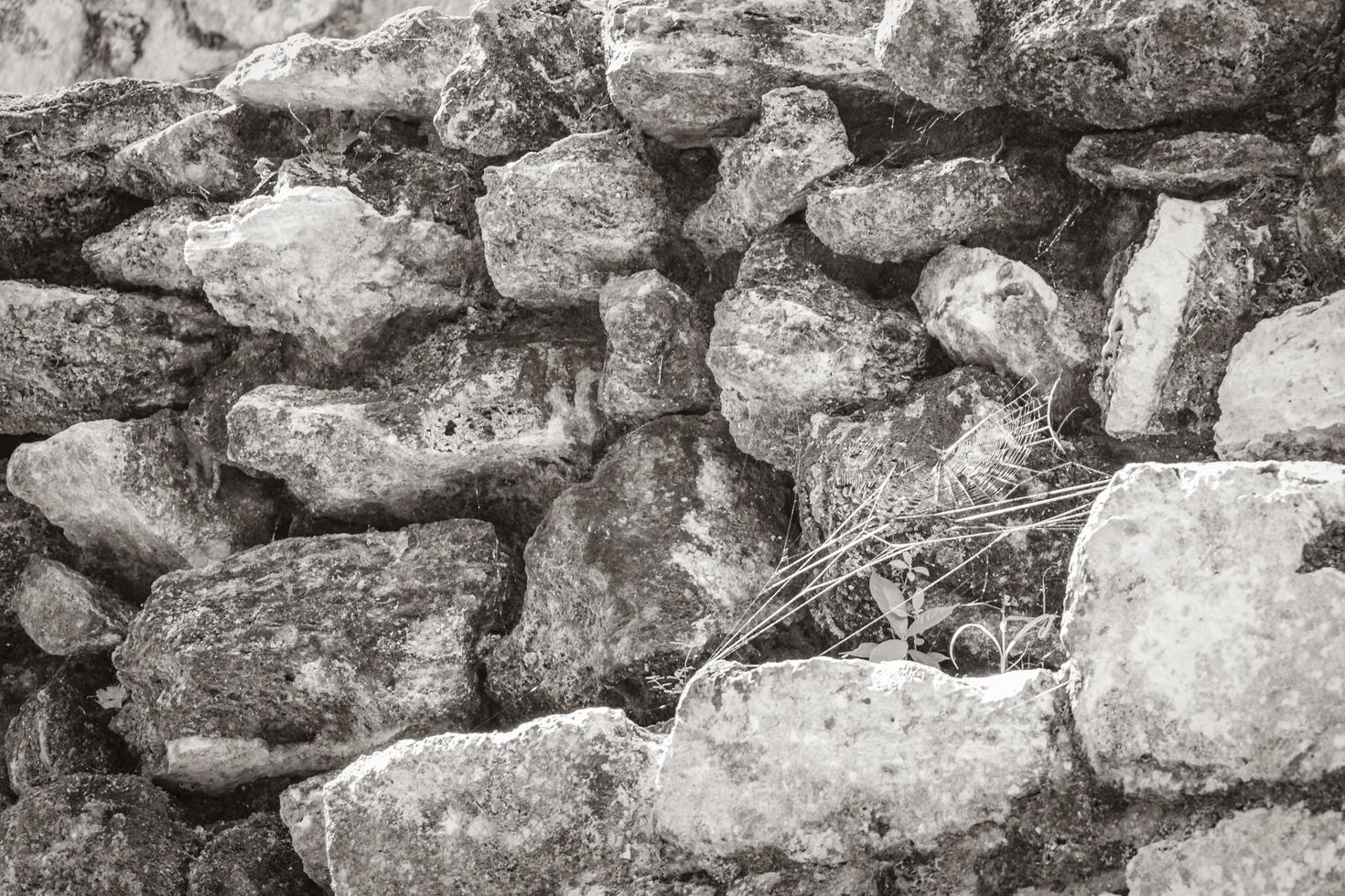 alte Maya-Stätte Textur Tempelruinen Pyramiden Artefakte Muyil Mexiko. foto