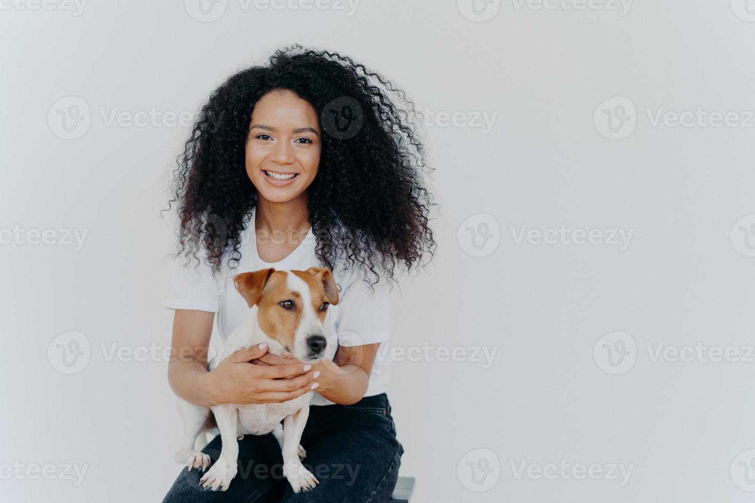 Menschen- und Tierkonzept. fröhliche, gut aussehende frau mit knackigem haar, lächelt angenehm, spielt mit rassehund, sitzt auf bequemem stuhl, macht unvergesslichen schuss, posiert vor weißem hintergrund foto