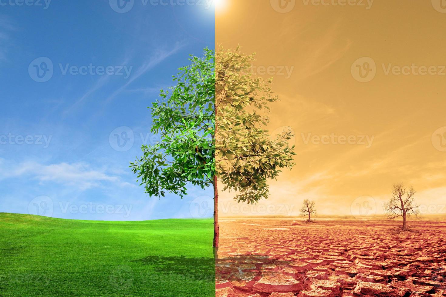 Landschaft mit trockener Erde, Konzept der globalen Erwärmung der Wiese. foto