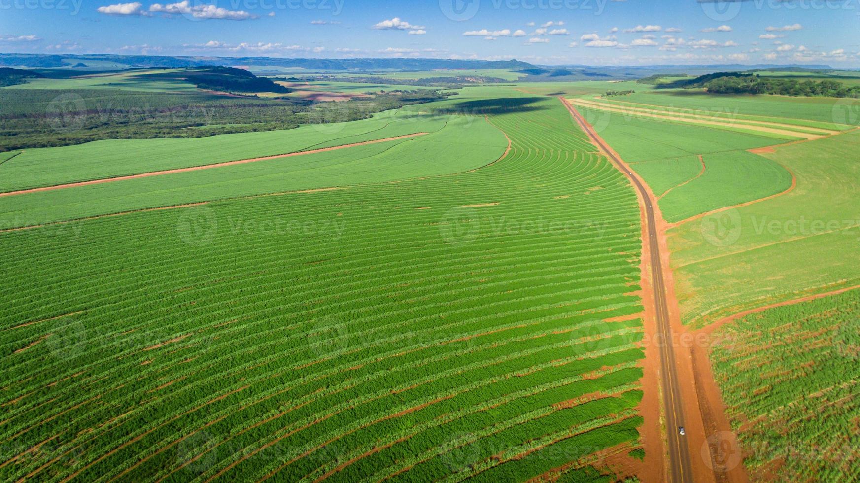 Luftaufnahme des Zuckerrohrplantagenfeldes mit Sonnenlicht. landwirtschaftliche Industrie. foto