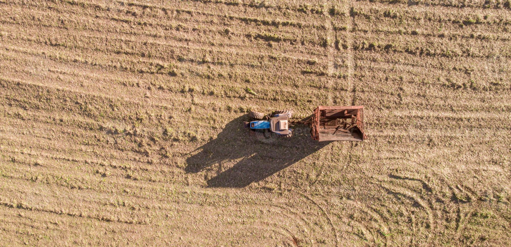 Traktor im Zuckerrohrfeld. foto