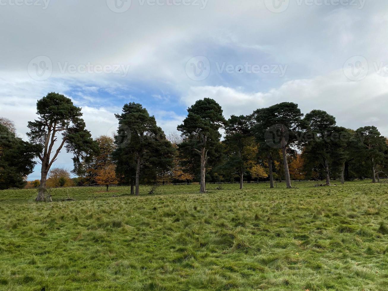 ein blick auf die landschaft von cheshire in der nähe von knutsford im herbst foto