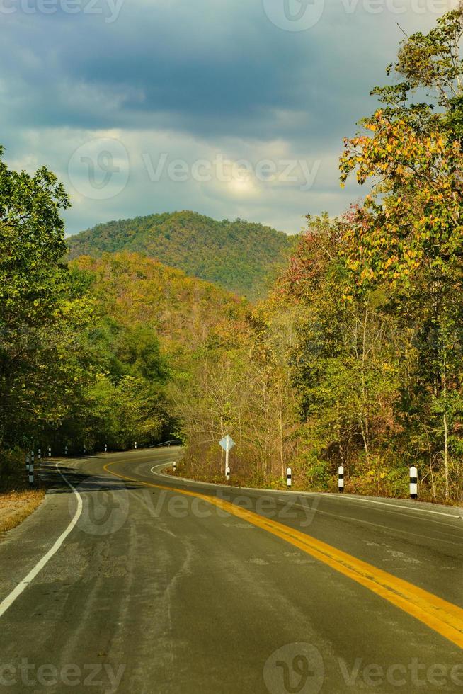 Straßen- und Waldfarbe auf beiden Seiten foto