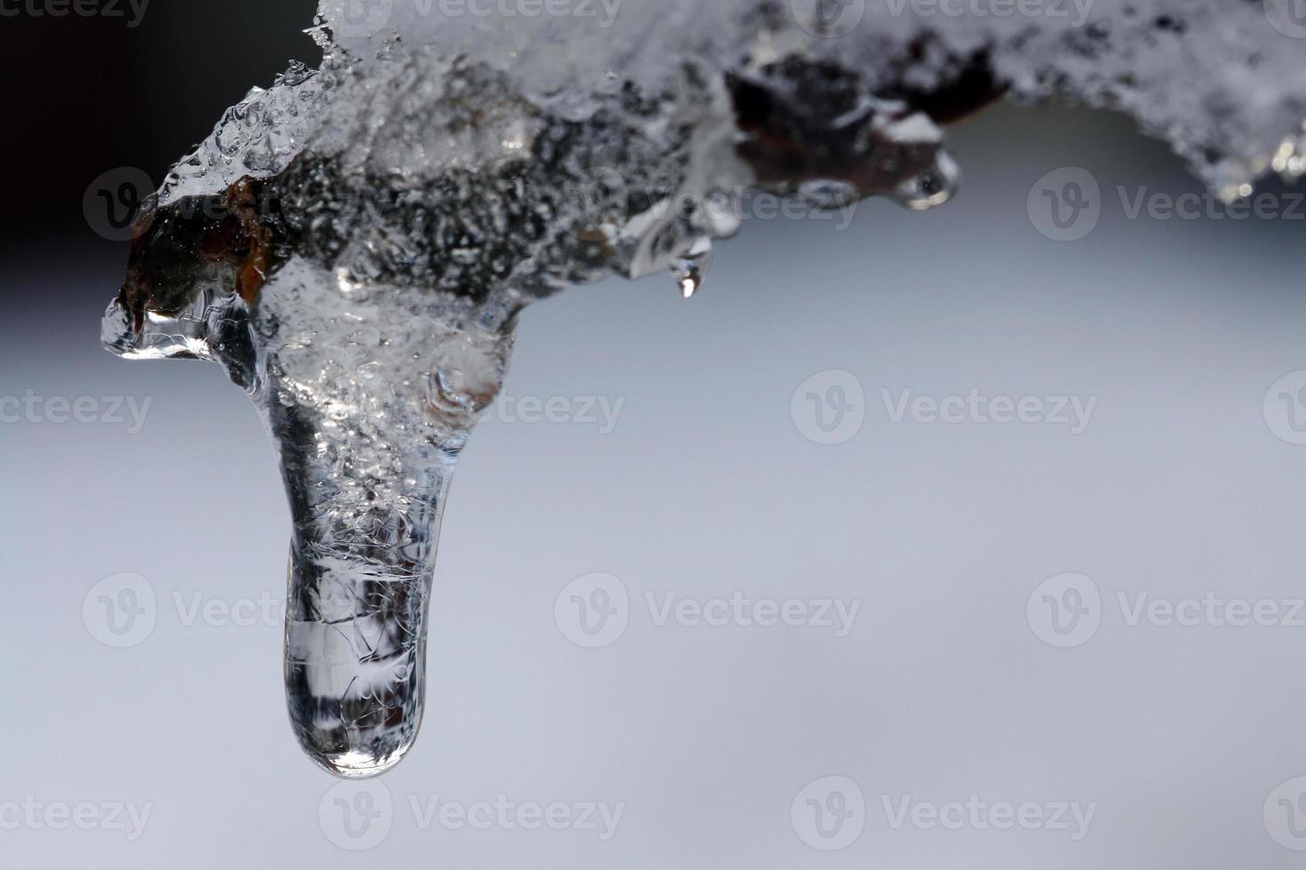 Eiszapfen im Winter foto