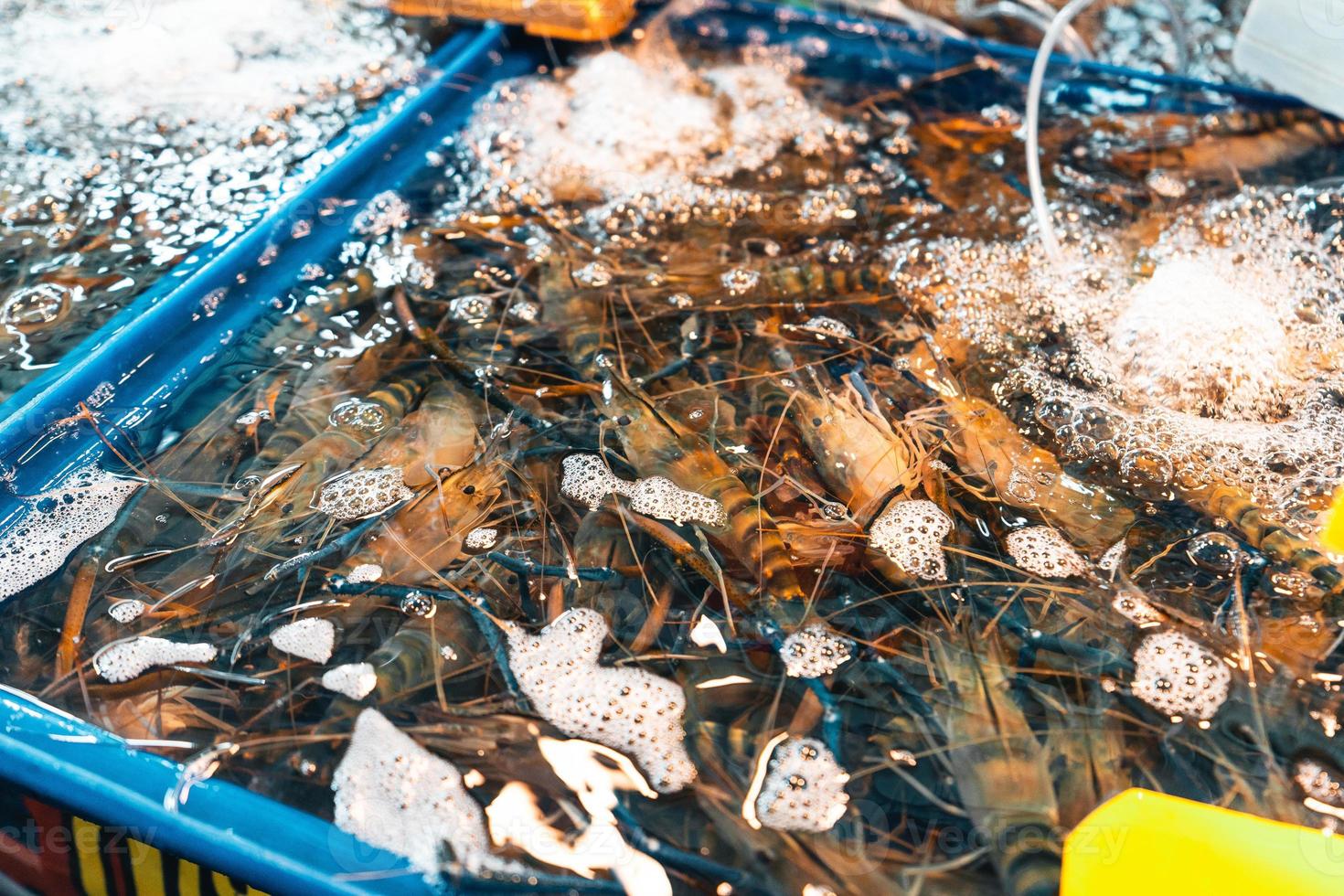 Fischmarkt in Krabi, rohe Meeresfrüchte auf einem Markt in der Nähe des tropischen Meeres foto