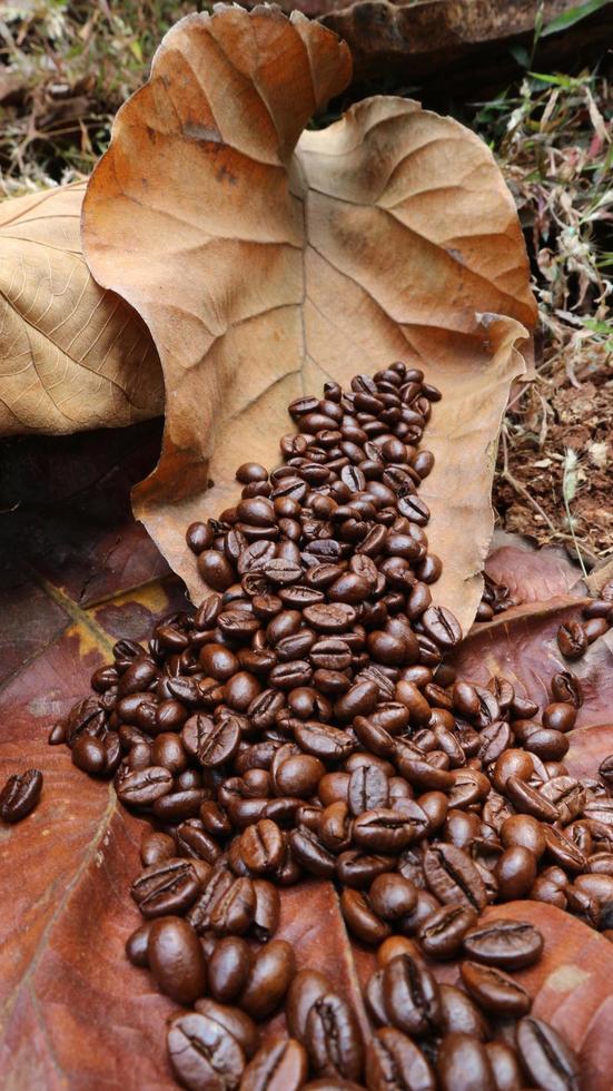 die Textur von Kaffeebohnen und getrockneten Teakblättern foto