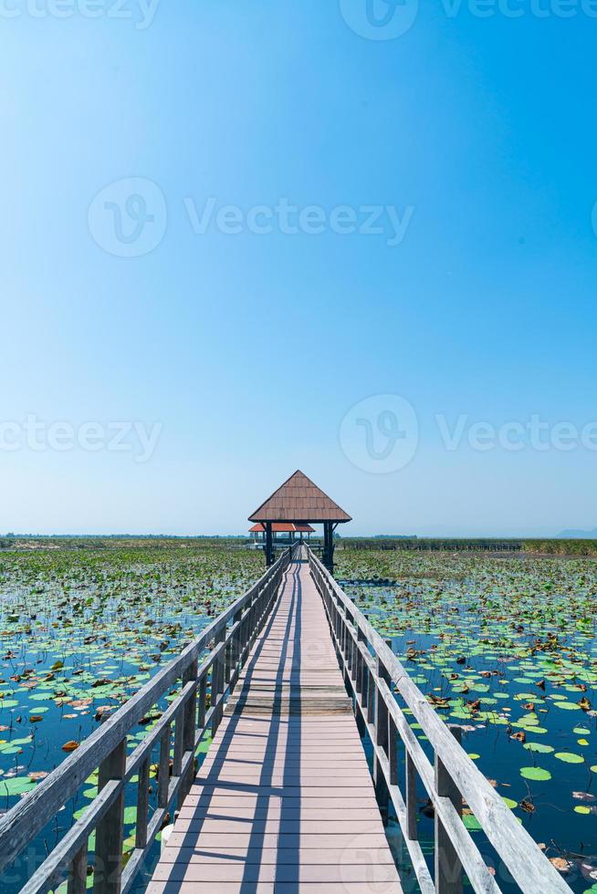 Sam Roi Yot Süßwasser-Sumpf oder Bueng Bua Khao Sam Roi Yot Nationalpark foto