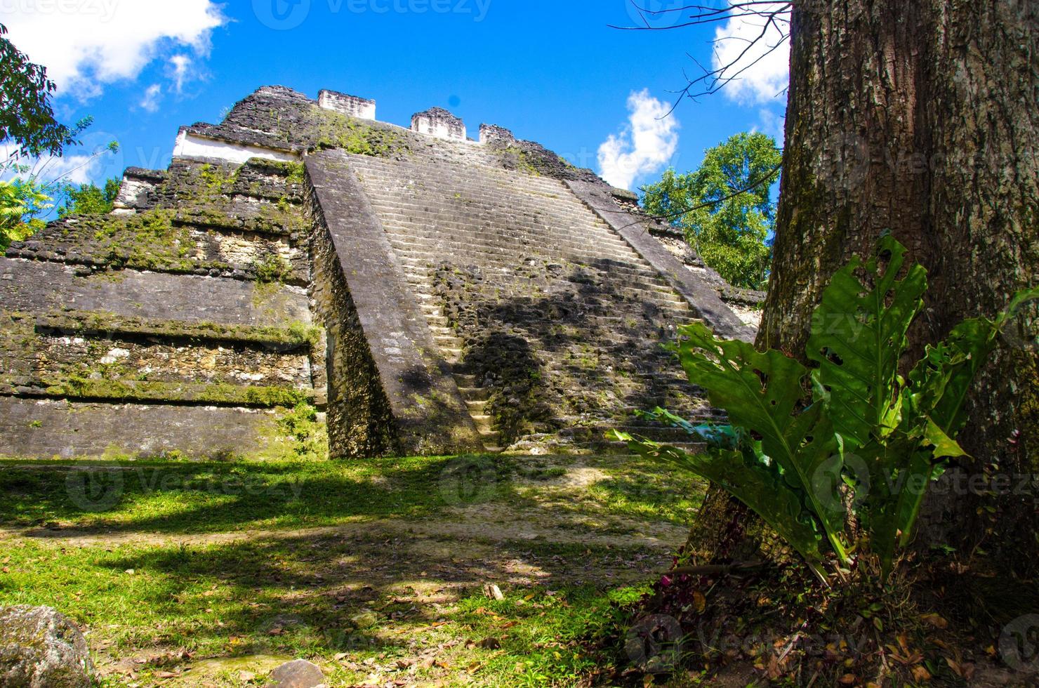 Tikal Ruinen und Pyramiden foto