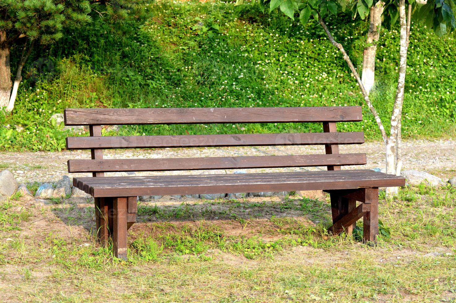 braune Holzbank im Park. Sommer sonniger Tag. grünes Gras und Bäume. Ruhe- und Entspannungsbereich. leere Bank zum Sitzen. Außenmaterial Holz. foto