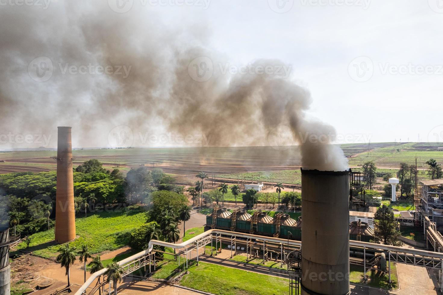 Zuckerrohrpflanze, die erneuerbare Energie produziert. Ethanol Industrie. Alkohol. foto