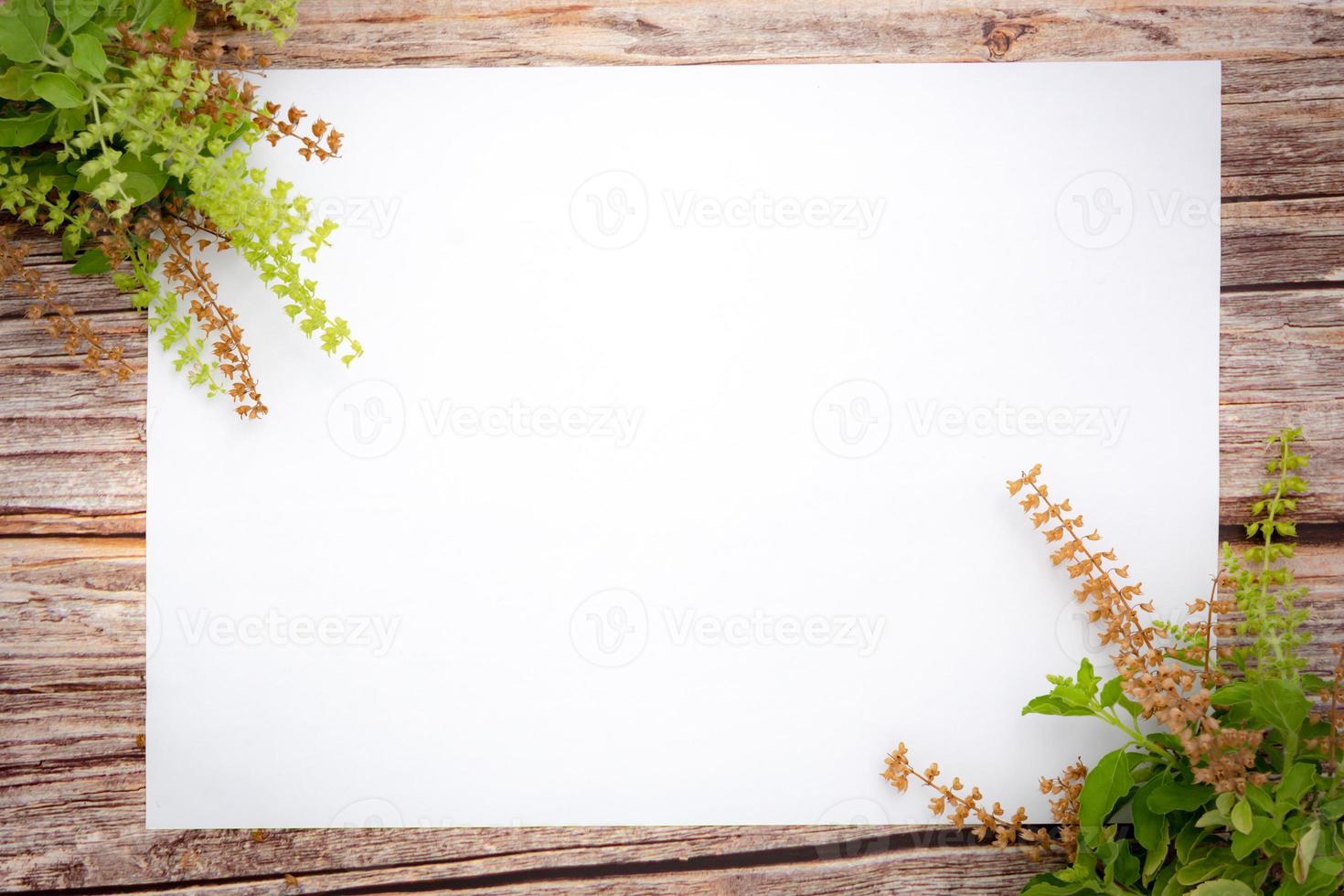 grüne basilikumblumen und leeres papierblatt auf einem hölzernen hintergrund. frühlingsgrenze grüne blüte, draufsicht, leeres papier für text, flache lage. foto