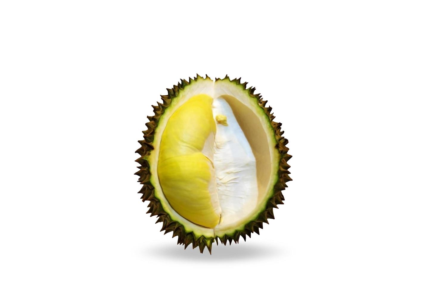 Durian Monthong auf weißem Hintergrund. foto