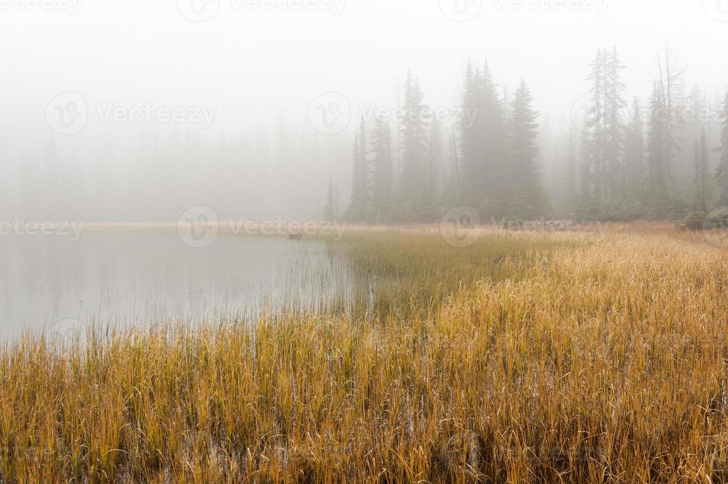 Halsabschneider See im Nebel foto