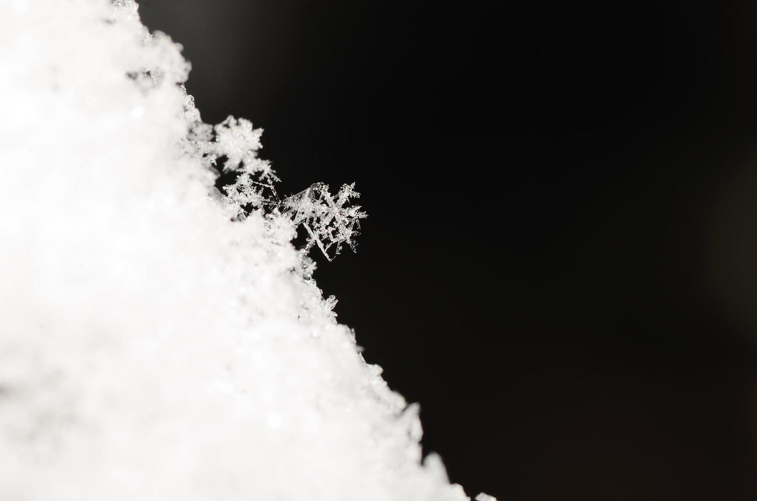 schneekristall abfallender schnee auf schwarz foto