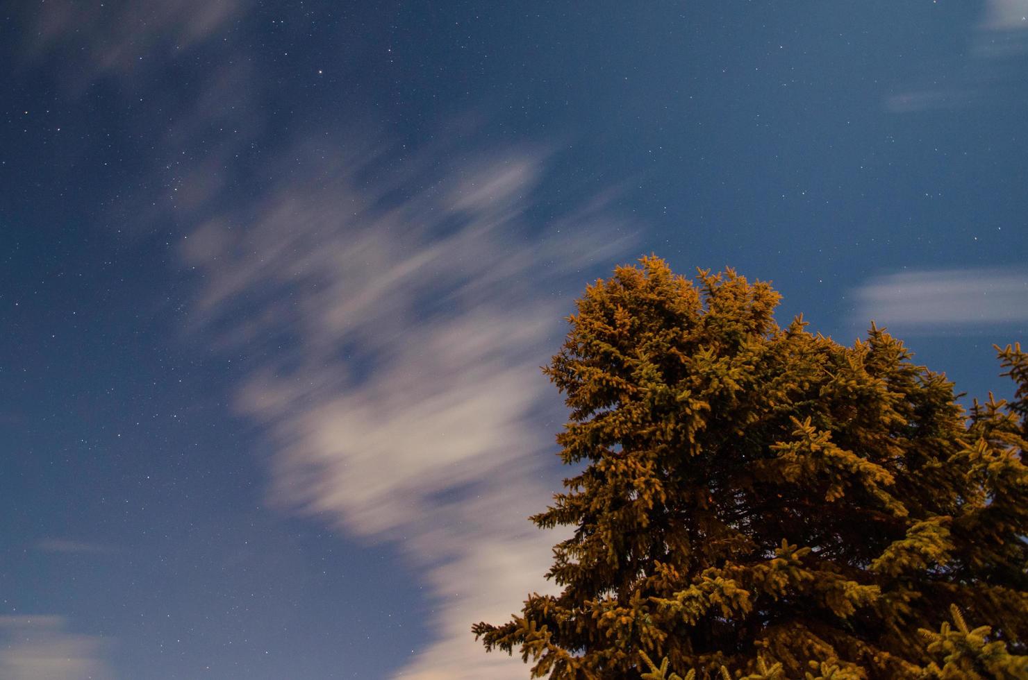 Baum und Wolken mit Sternen foto