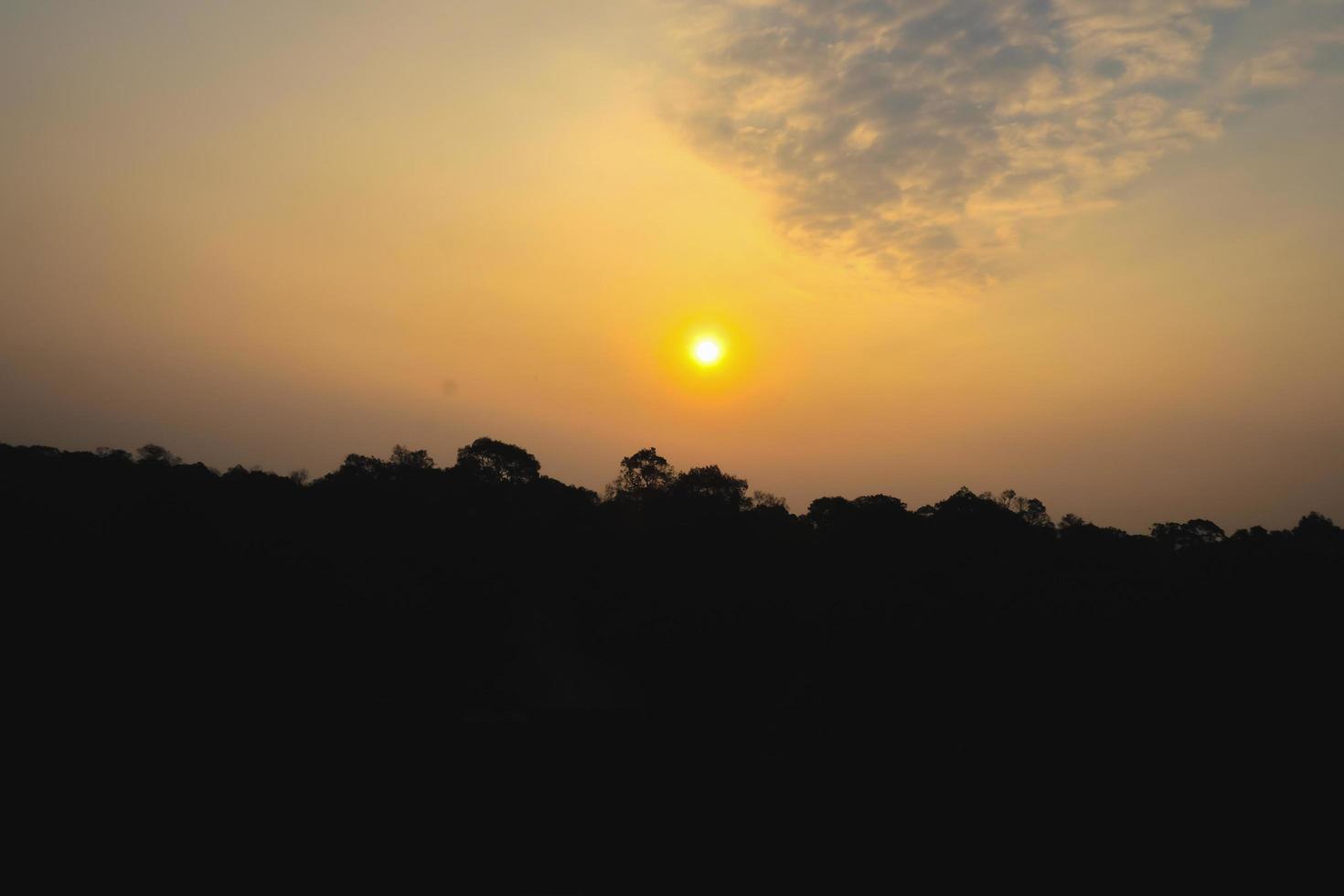 schöner sunrire-himmel mit schattenbildbaum foto