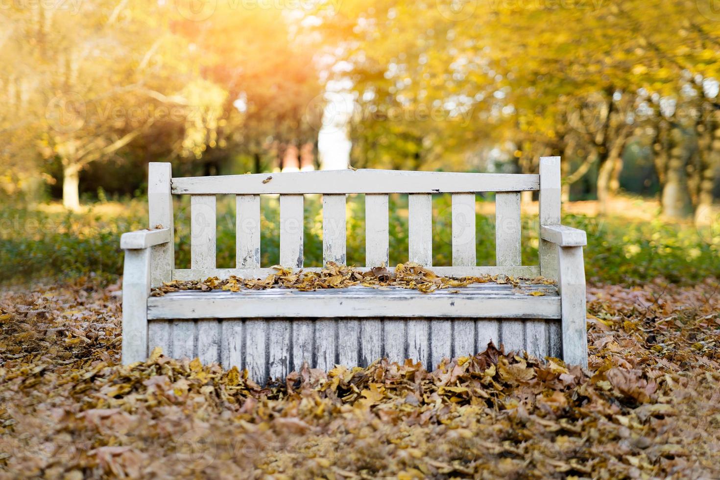 Weiße Vintage-Bank im Herbstpark foto