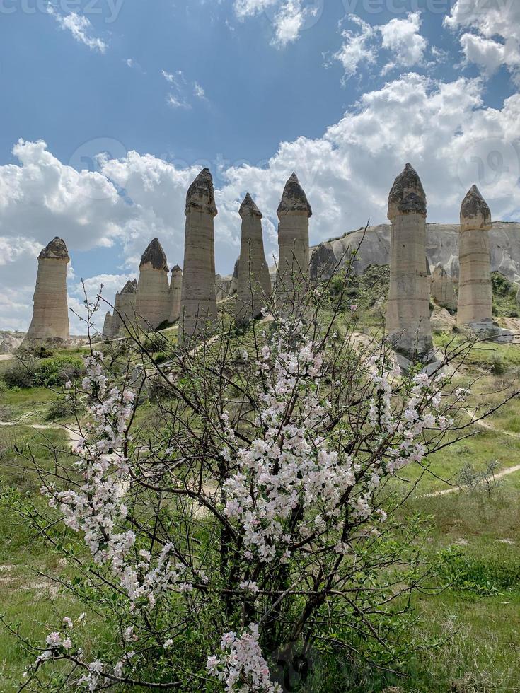 Tal der Liebe aus Steinen in Georgia foto