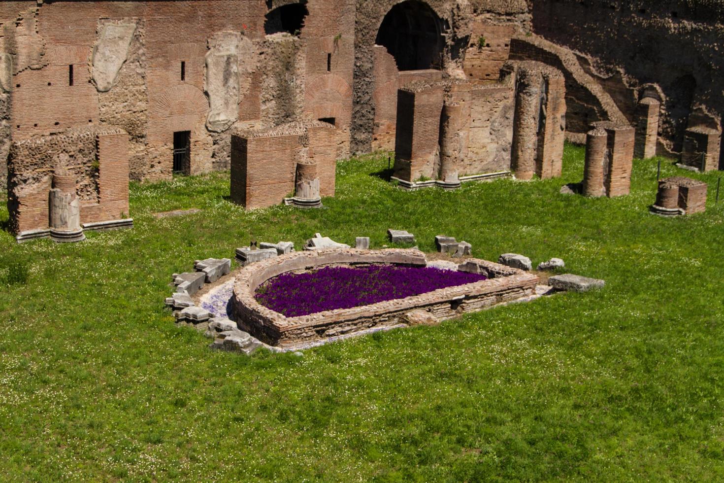 römische ruinen in rom, forum foto