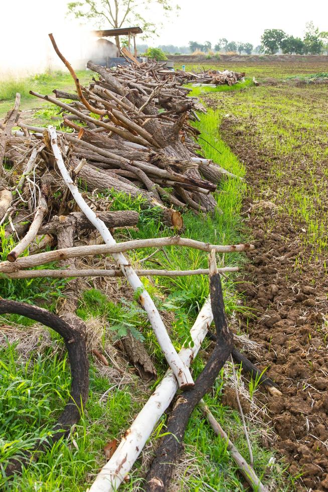 Brennholz und Holzkohle-Tonofen. foto