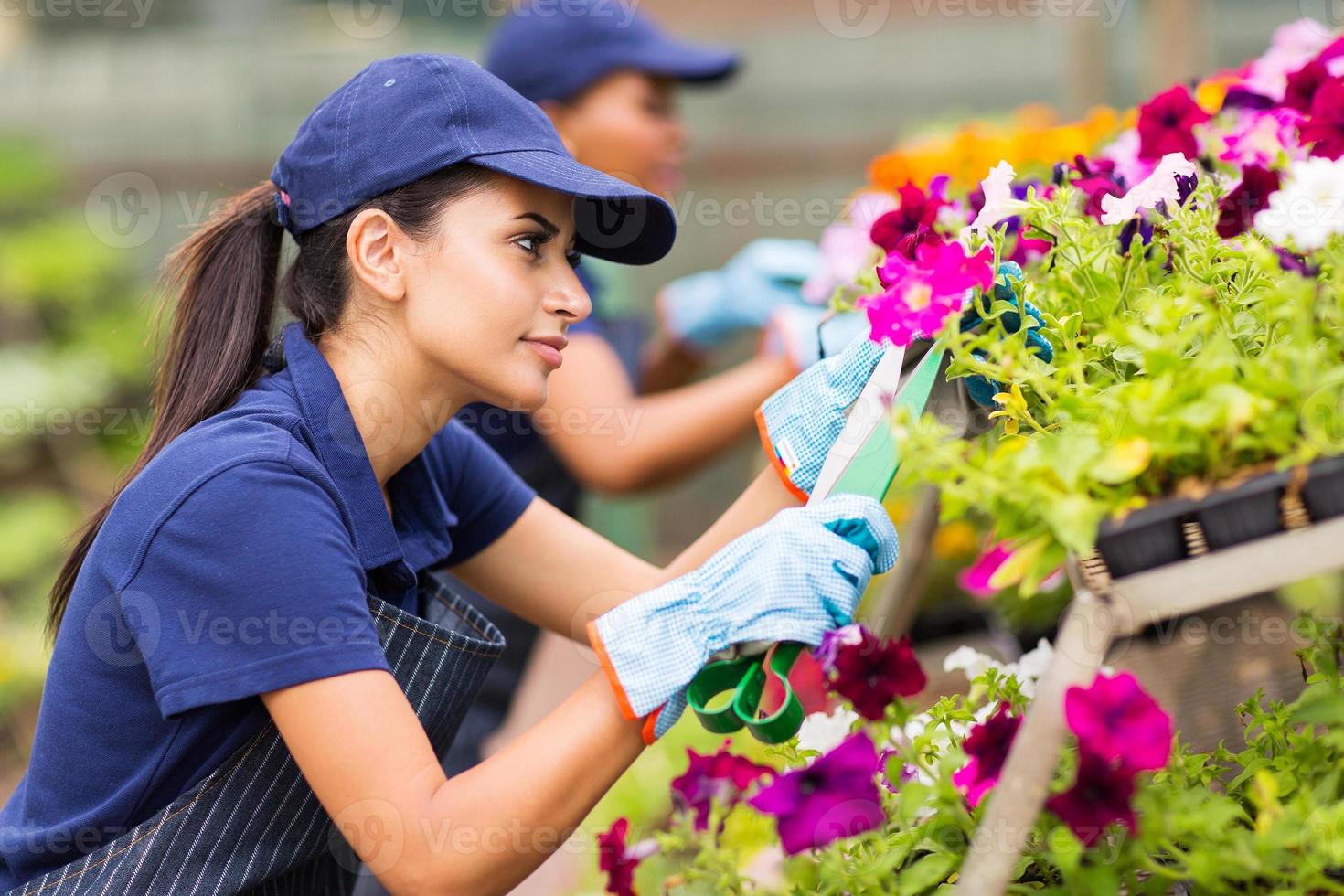 weiblicher Florist, der Blumen schneidet foto