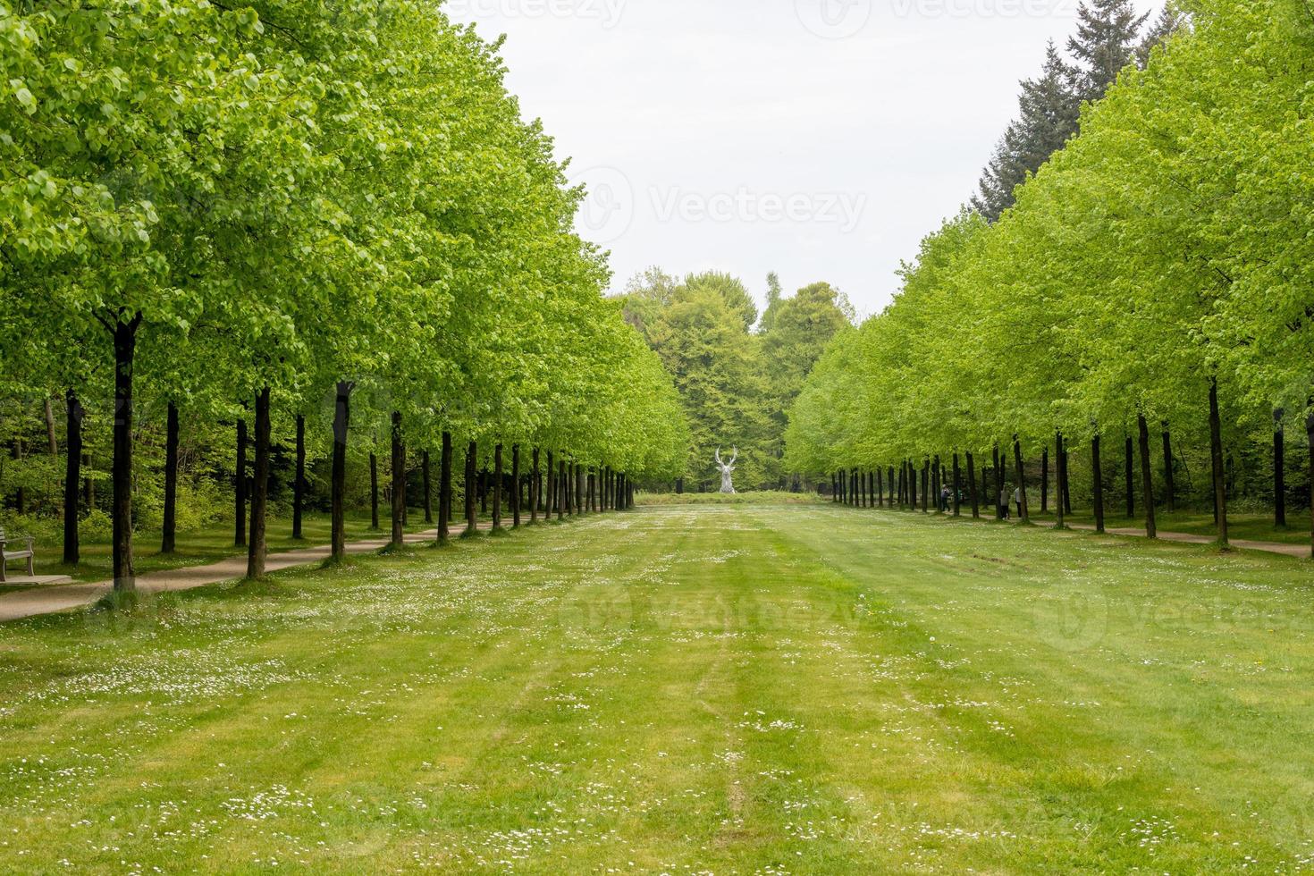 Weg im Park foto