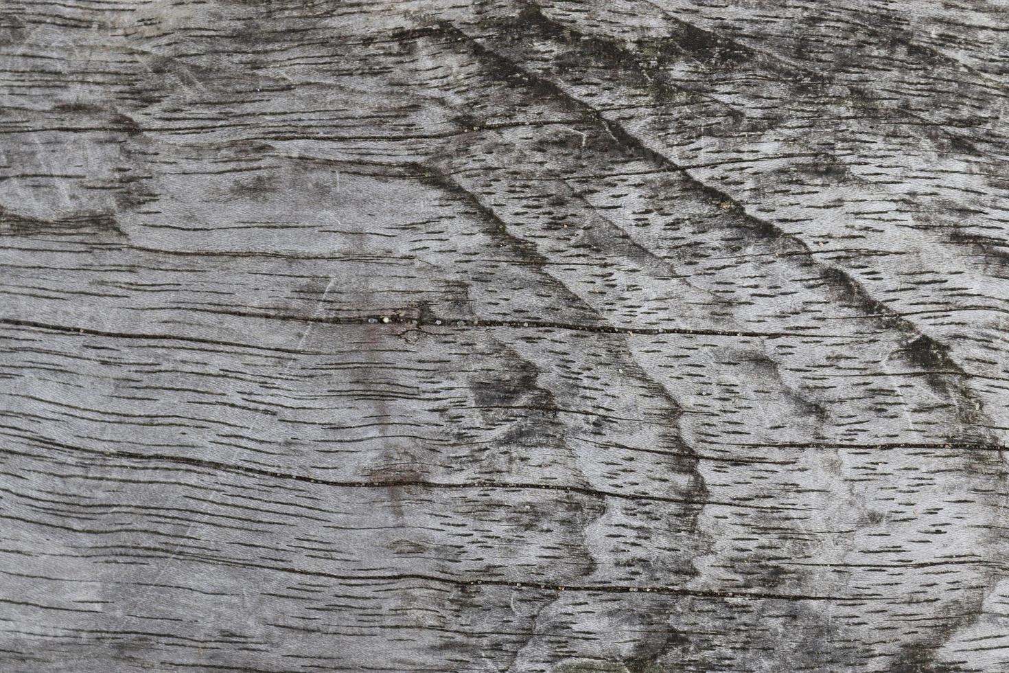 Nahaufnahme auf verschiedenen Holzoberflächen von Plankenstämmen und Holzwänden in hoher Auflösung foto