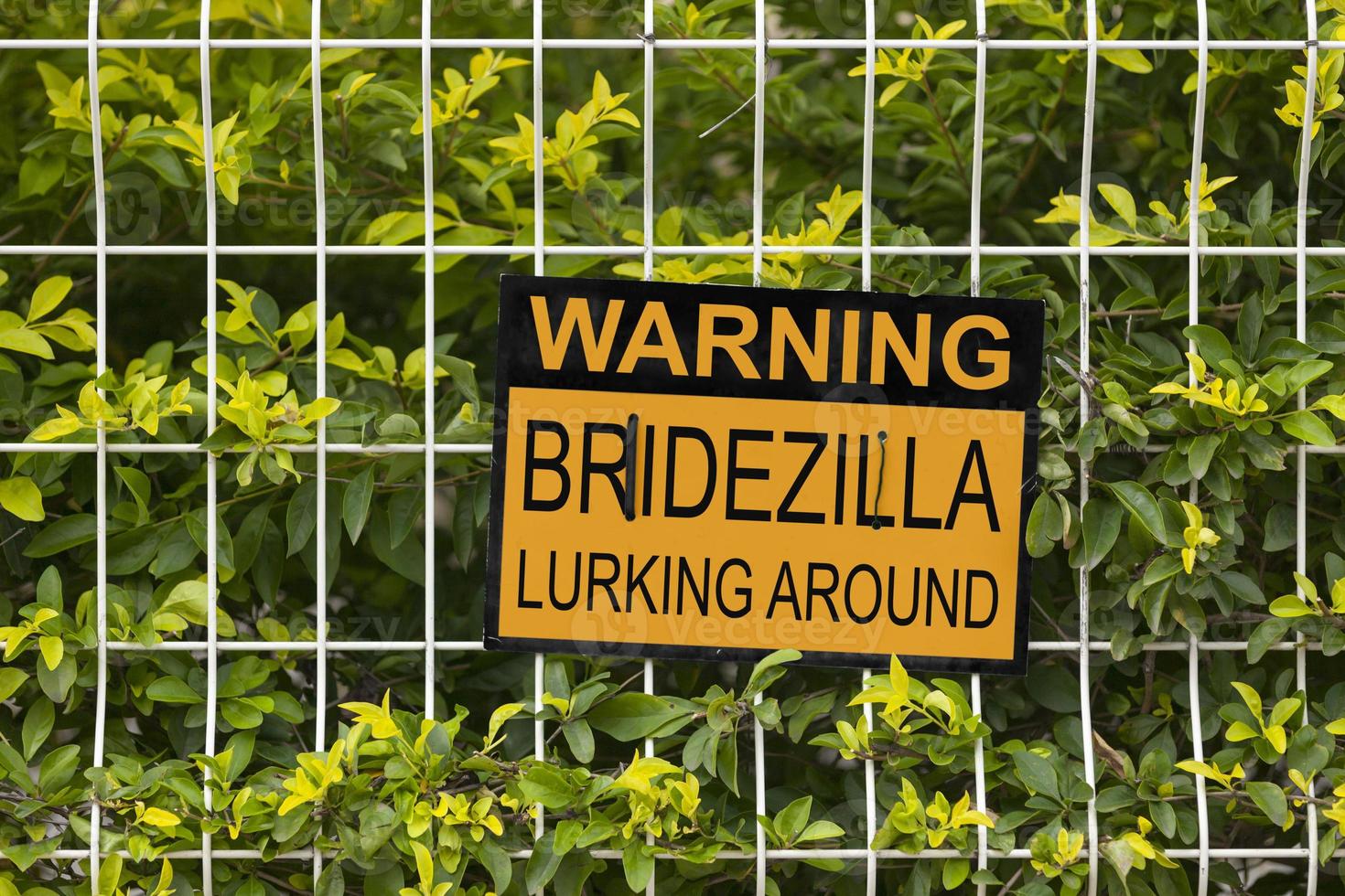 Warnung, Bridezilla lauert um Schild foto