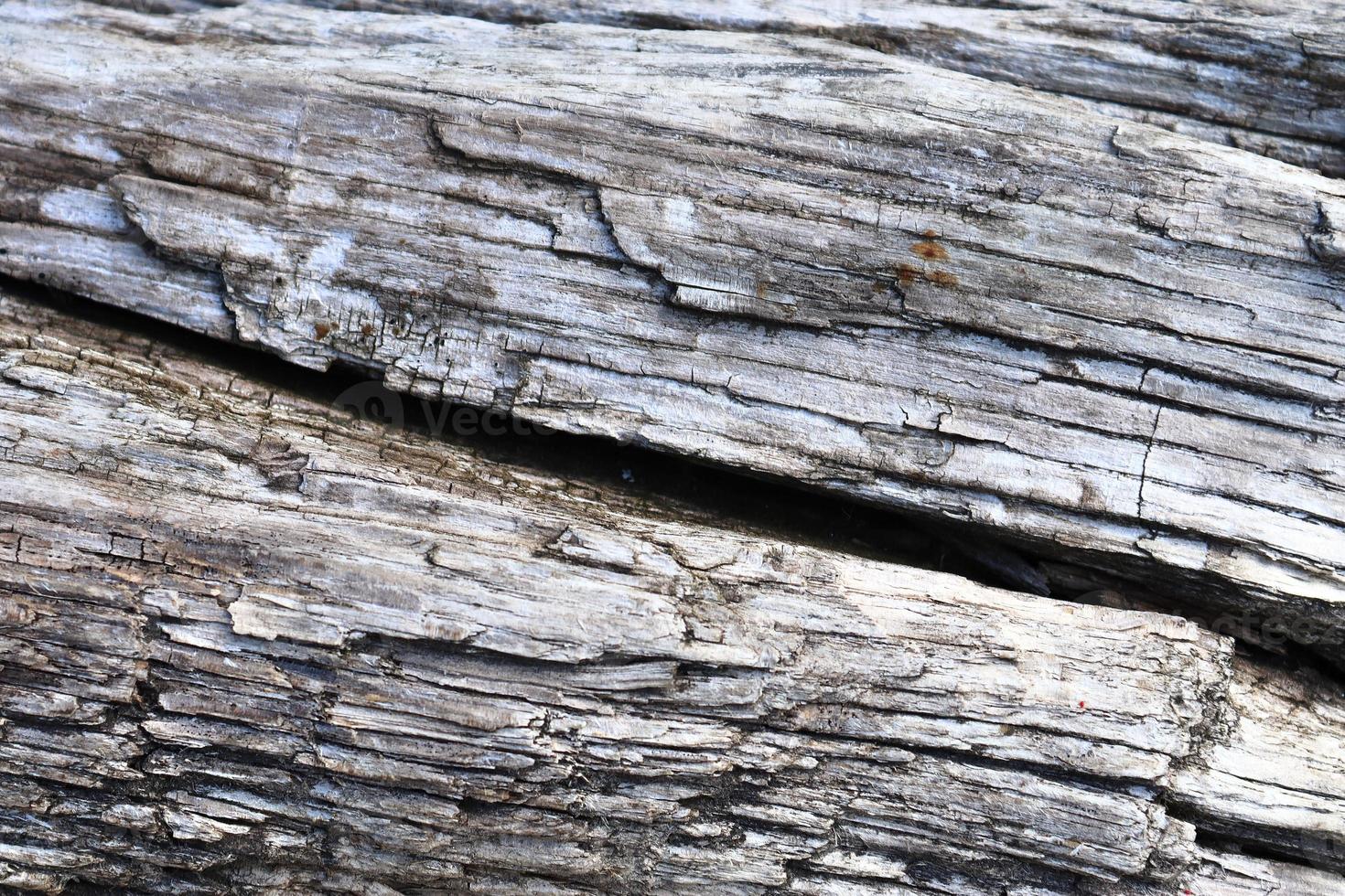Nahaufnahme auf verschiedenen Holzoberflächen von Plankenstämmen und Holzwänden in hoher Auflösung foto
