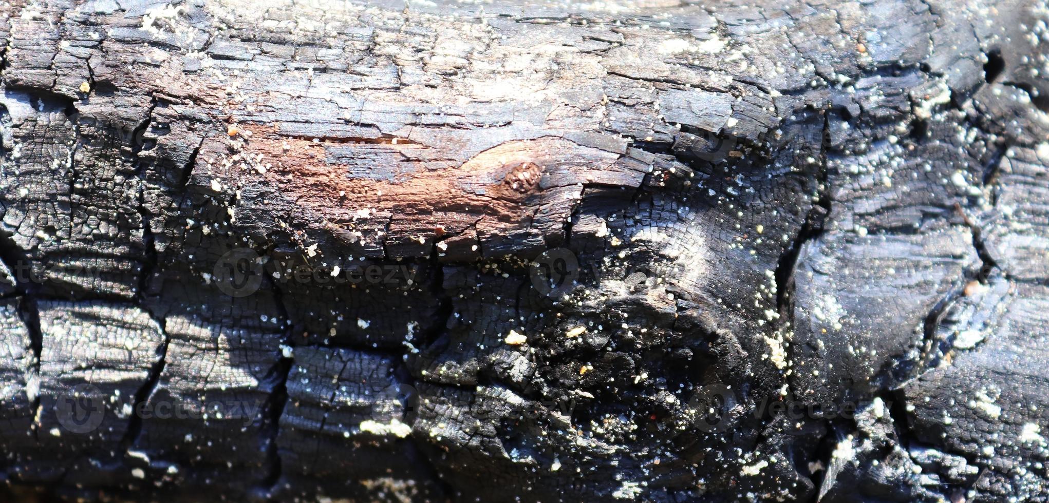 Nahaufnahme auf verschiedenen Holzoberflächen von Plankenstämmen und Holzwänden in hoher Auflösung foto