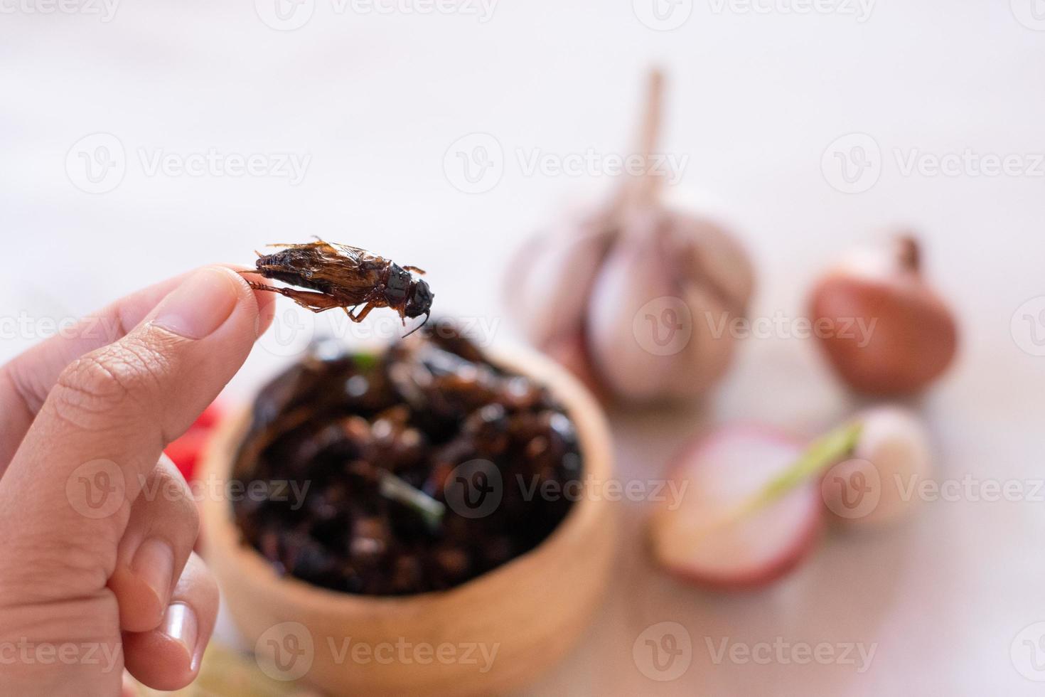 Hand, die gebratene Grillen als essbare Insekten mit hohem Proteingehalt in Holzbogen mit Gewürzhintergrund hält foto