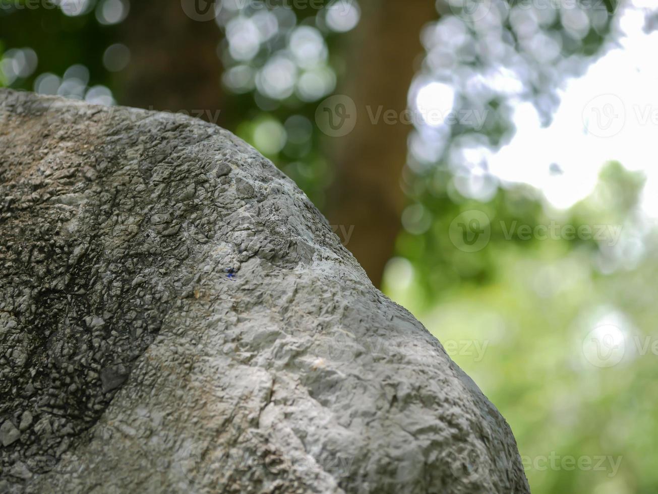 Bokeh unscharf Hintergrund verschwommen foto