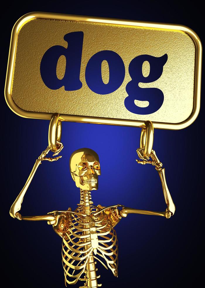 Hundewort und goldenes Skelett foto