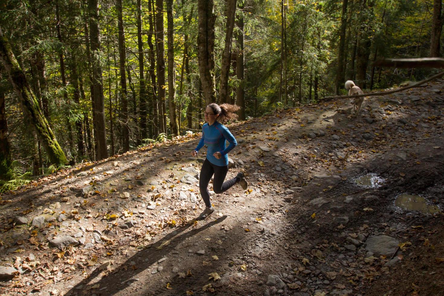 junges weibliches läufertraining im herbstwald foto