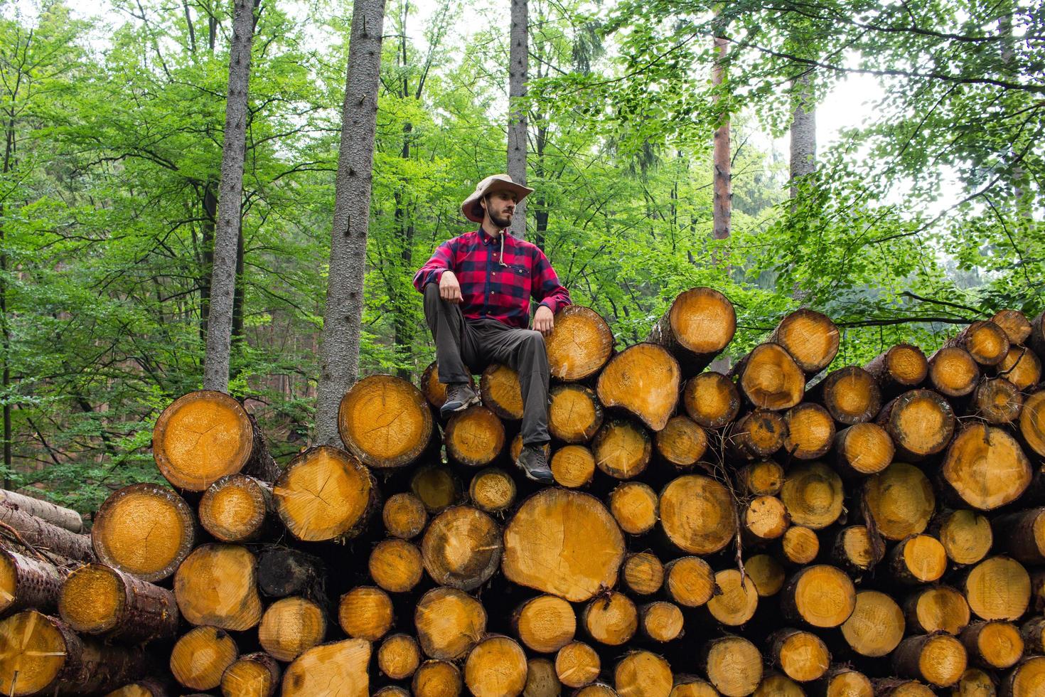 Porträt eines Holzfällers im Wald, viele große Kiefernstämme im Hintergrund. junger männlicher wanderer, der in der nähe des sägemehls im kiefernwald posiert. foto