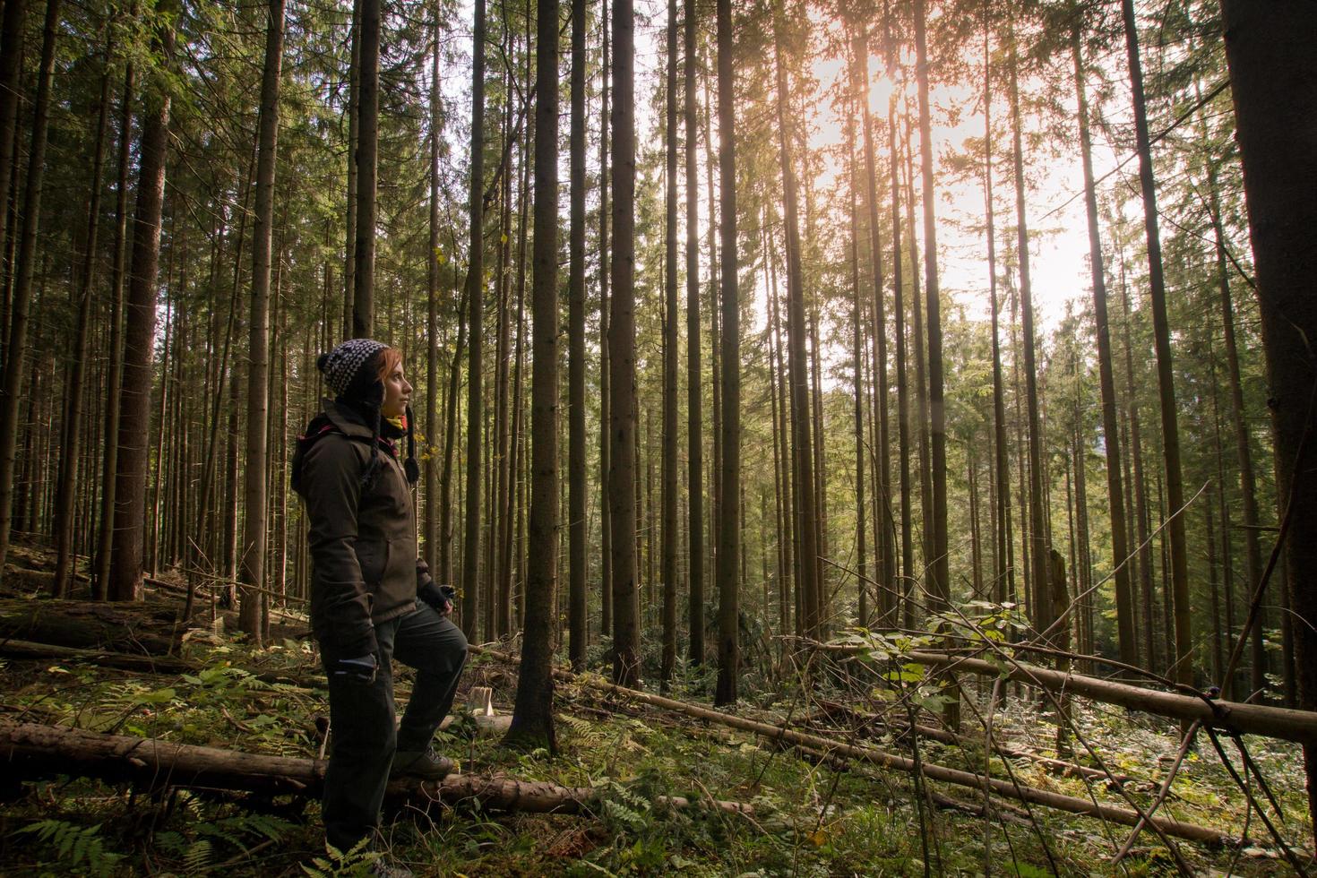 Wanderer der jungen Frau im Herbstwald foto