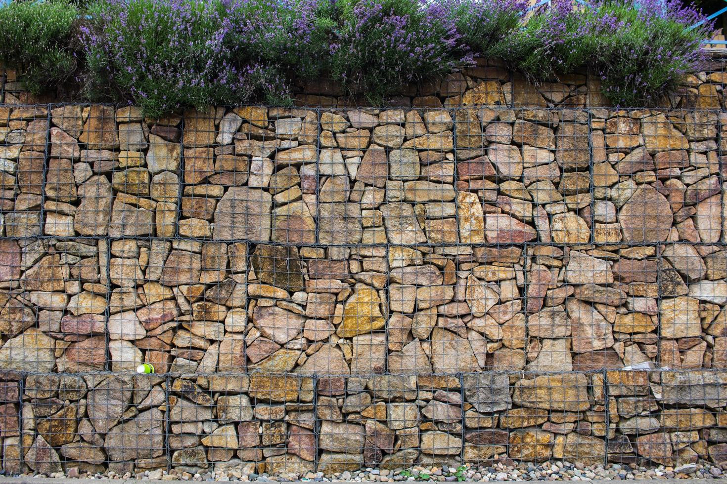 Gabionenwand mit Pflanzendekoration im Freien foto