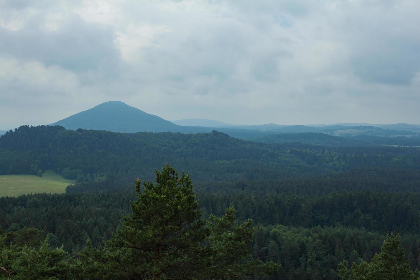 landschaft in den bergen im nationalpark der tschechischen schweiz, kiefernwald und felsen foto