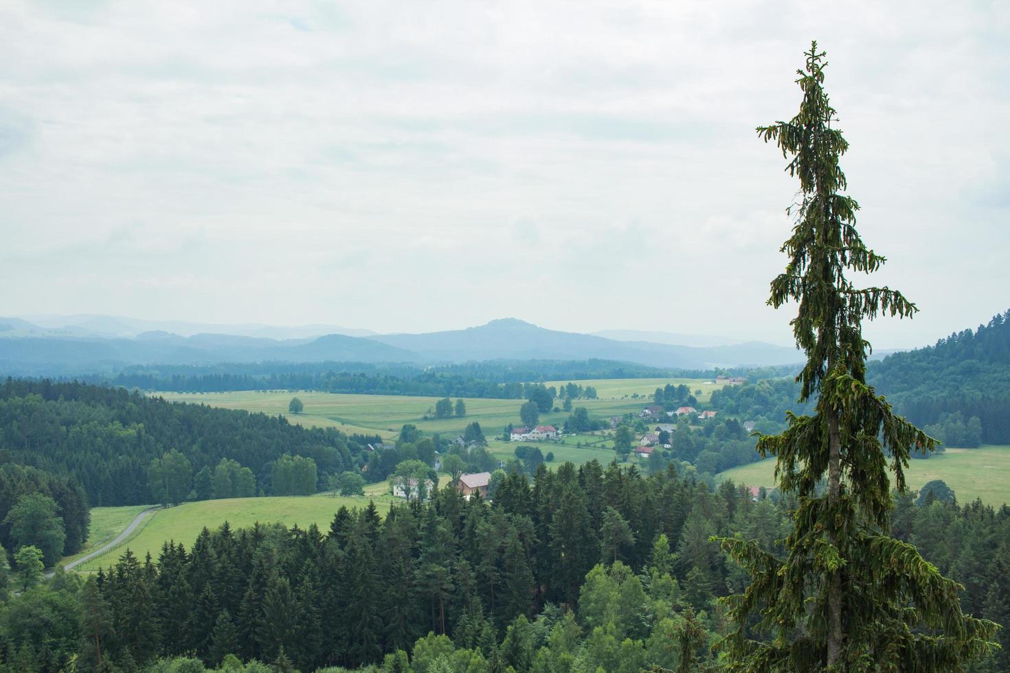 landschaft in den bergen im nationalpark der tschechischen schweiz, kiefernwald und felsen foto