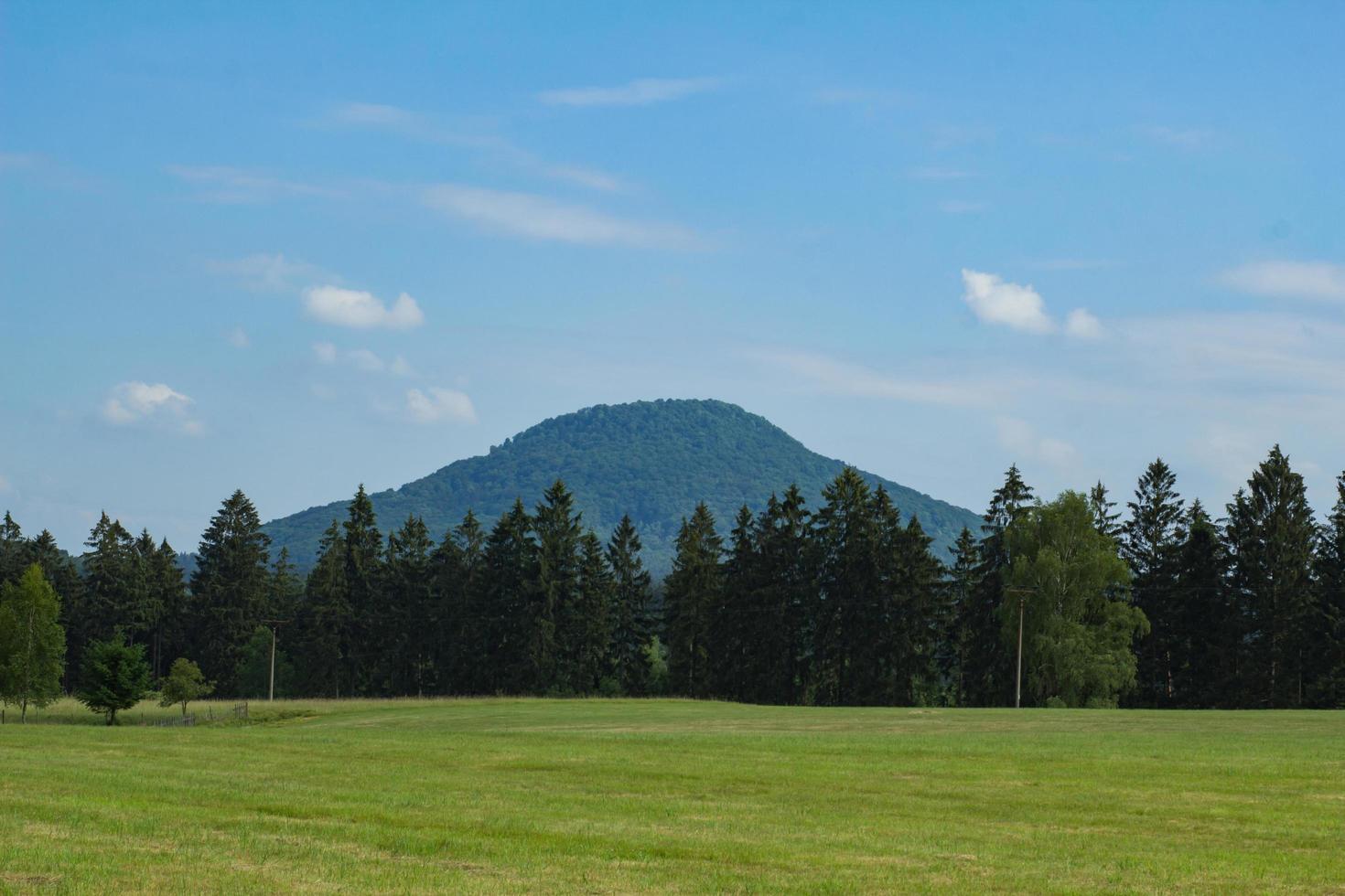 landschaft in den bergen im nationalpark der tschechischen schweiz, kiefernwald und felsen foto