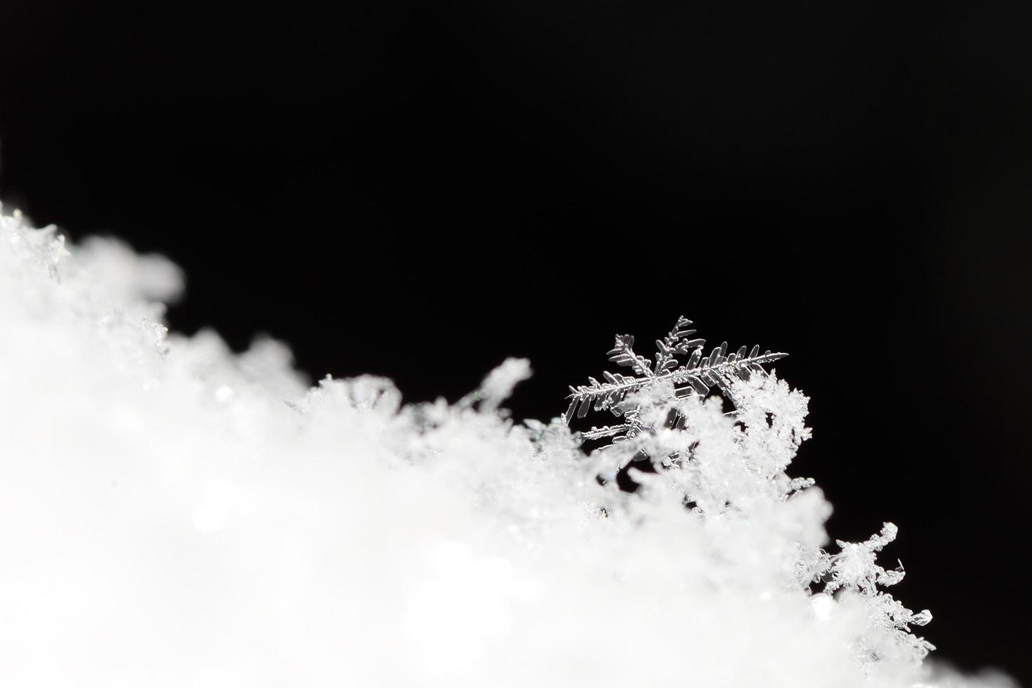 einzelner Schneekristall mit schwarzer Sicht foto